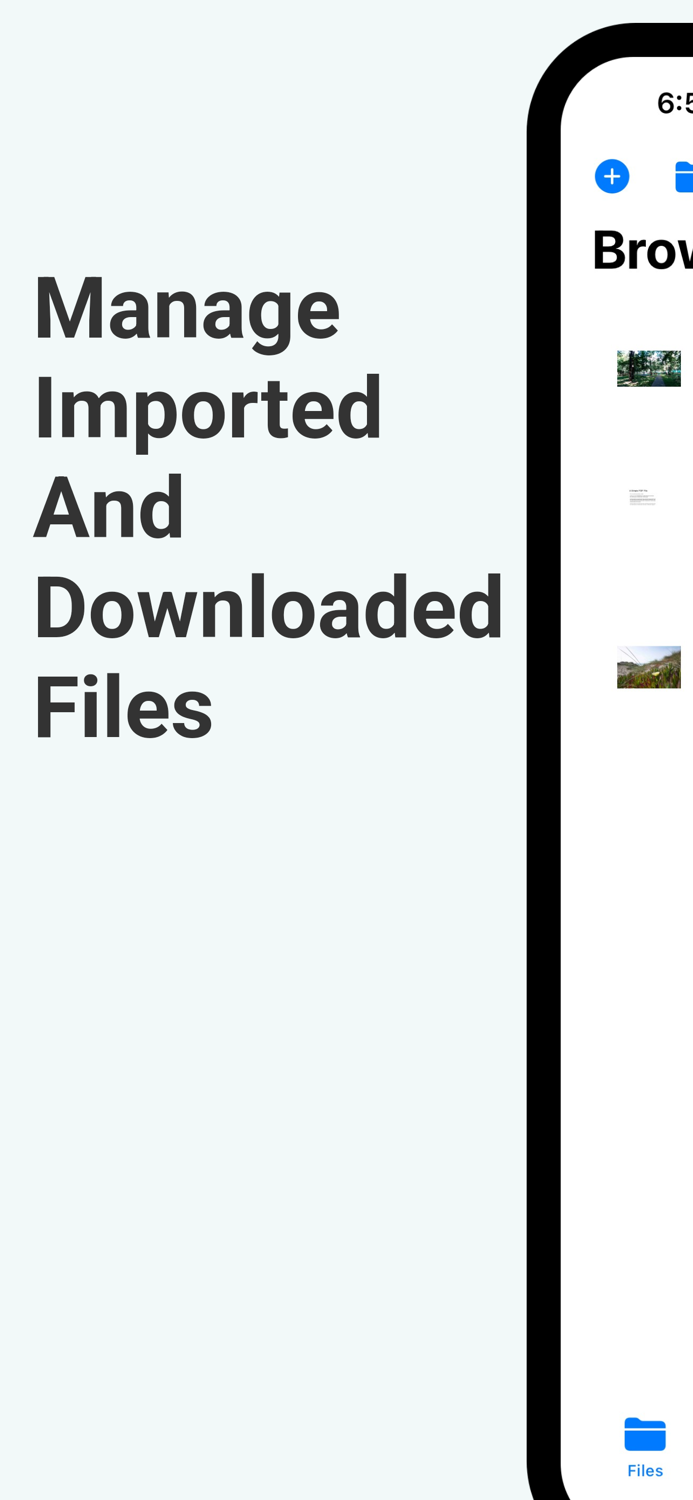 IDM Internet Download Manager