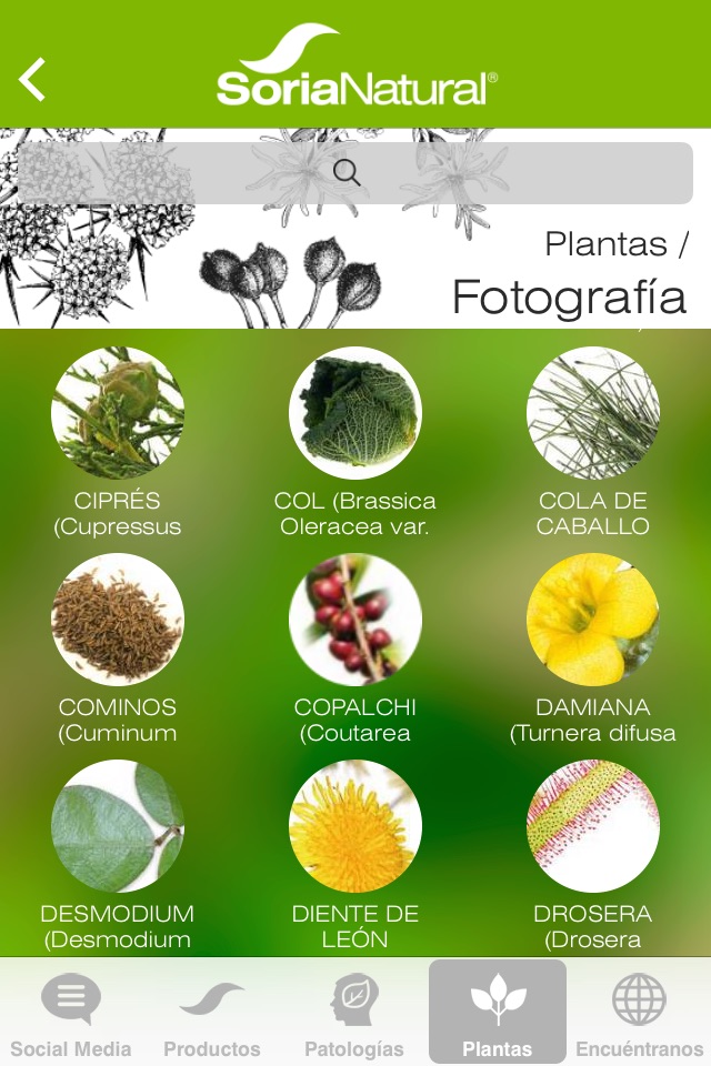 Soria Natural screenshot 3