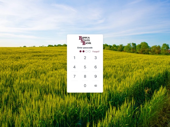 Bippus State Bank iPad screenshot 2 - Finance app