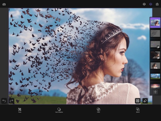 Superimpose AI - BG Editor iPad app afbeelding 5