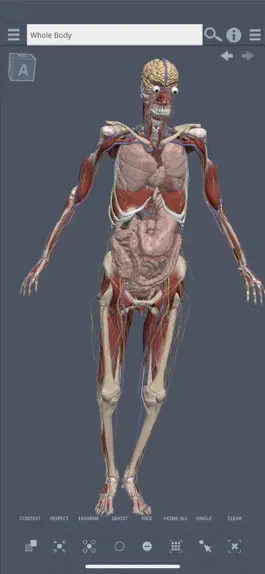 Game screenshot Primal's 3D Whole body mod apk