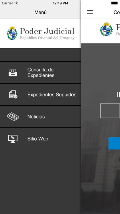 Consulta de Expedientes