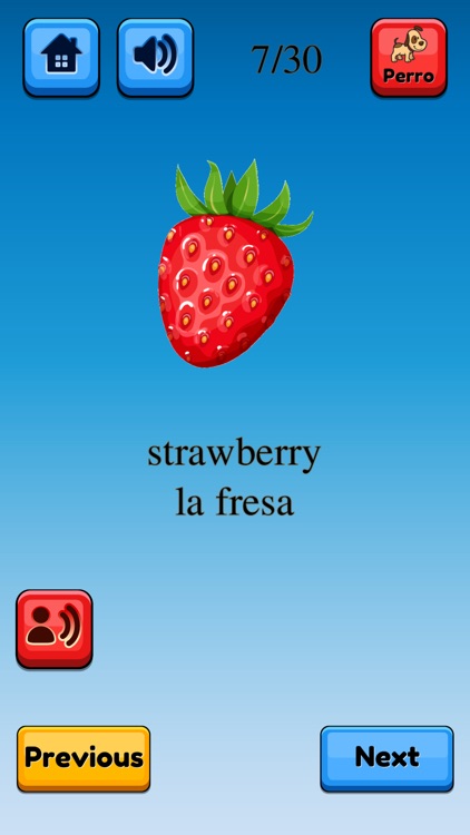Fun Spanish Flashcards Pro screenshot-5