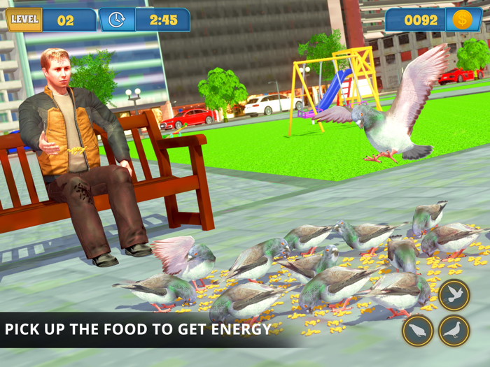 Pigeon Bird Simulator