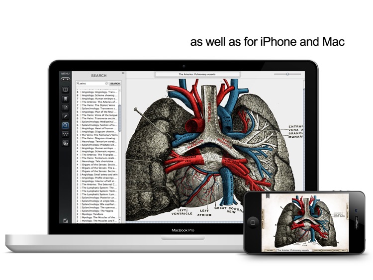 Grays Anatomy Student for iPad screenshot-4