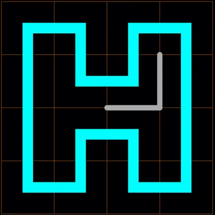 The Hamiltonian Circuit Cheats