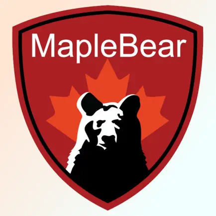 Maple Bear Chihuahua Читы