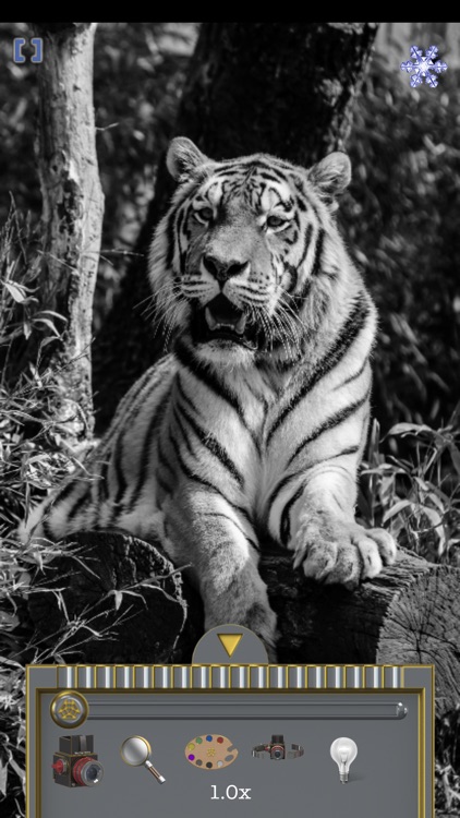 Magnifier (TiAu) LITE screenshot-5