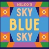 Wilco's Sky Blue Sky icon