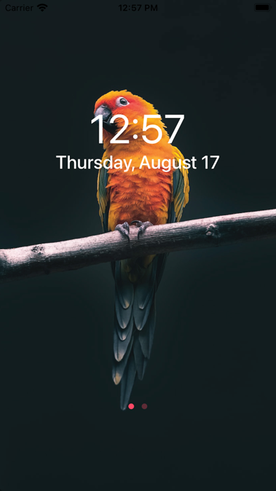 iWallBarry - Cool Wallpaper HD Screenshot