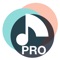 Icon Ear training Pro: piano guitar