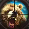 Black Bear Target Shooting App Feedback
