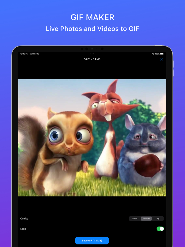 MaxVault - Photo and Video Vault