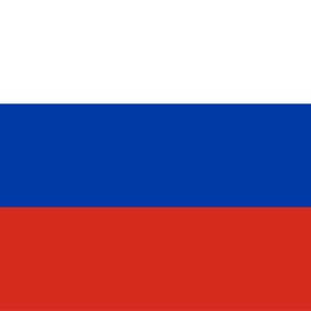 螢幕擷取畫面 (4) Russian-English Dictionary
