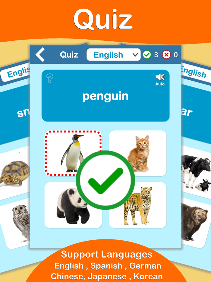 Animals Cards  Learn English