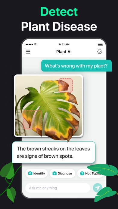 PlantAI: Identifier & Diagnose Screenshot