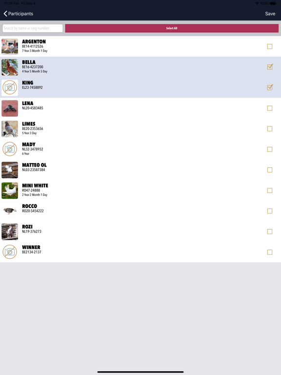 MyPigeon App iPad app afbeelding 5