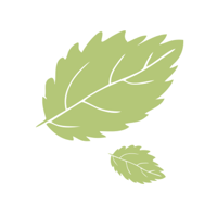 Кофейня мята  Руза