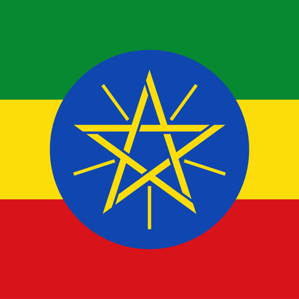 Get Amharic/English Dictionary for iOS, iPhone, iPad Aso Report