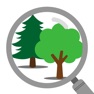 Get iSeaTree for iOS, iPhone, iPad Aso Report