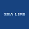 Sea Life, Kent