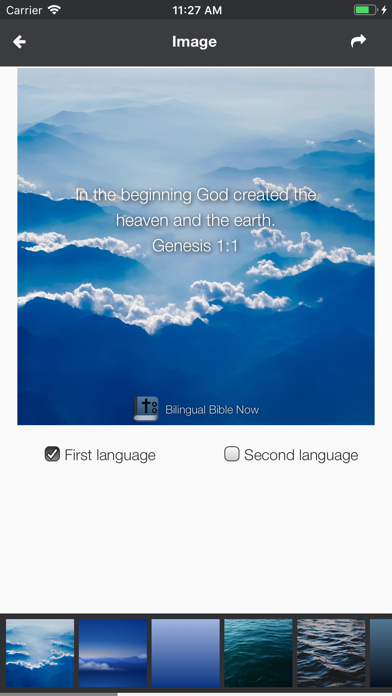 Bilingual Bible Now Screenshot