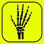 Hand Bones: Speed Anatomy Quiz App Contact