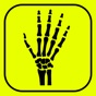 Hand Bones: Speed Anatomy Quiz app download