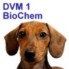 DVM 1st Year Biochemistry - iPhoneアプリ