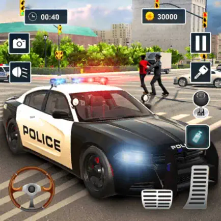 Police Simulator Thief Chase Cheats