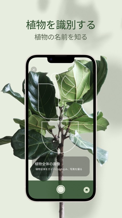 Planta：植物の手入れと水やりガイド、園芸と庭造りのコツのおすすめ画像3