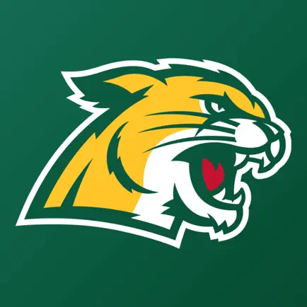Northern Michigan Wildcats Cheats