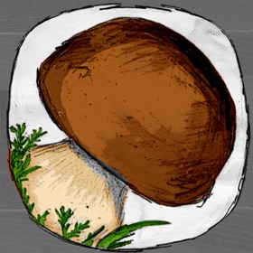 螢幕擷取畫面 (5) The Mushroom Book