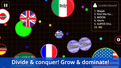 Screenshot from Agar.io