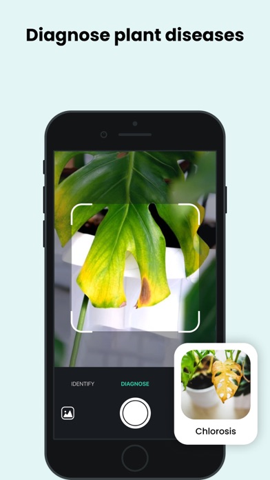 PlantCam: Plant Identifier Screenshot