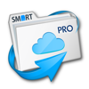 File Explorer Professional - SMARTDISK ORG