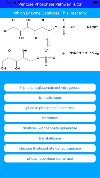 Pentose Phosphate Paths Tutor