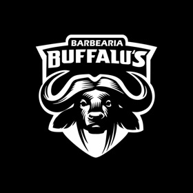 Screenshots (5) Buffalus Barbearia