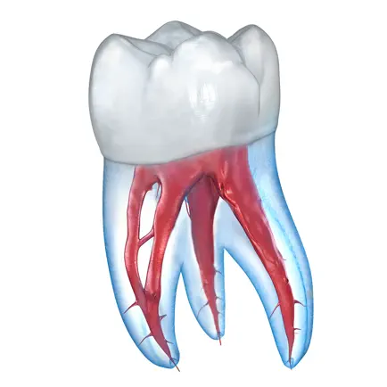 Dental 3D Illustrations Читы