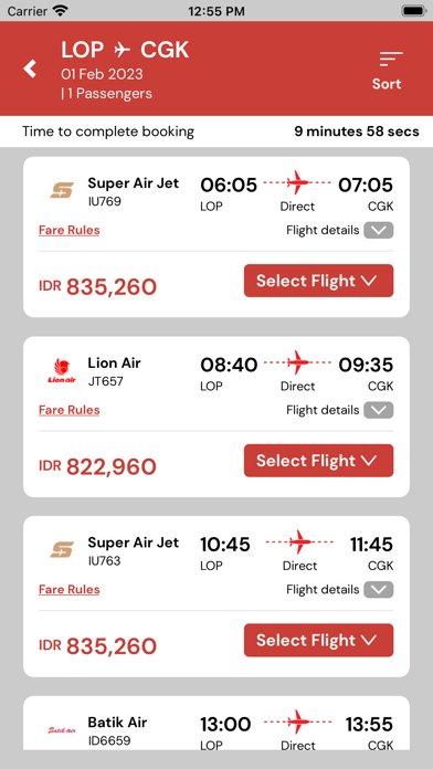 Lion Air Screenshot