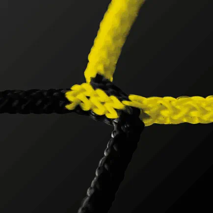 BVBBusinessNetzwerk Cheats