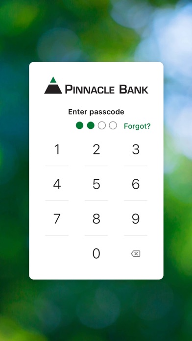 Pinnacle Bank AL Screenshot