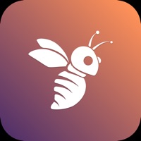 Social Bee