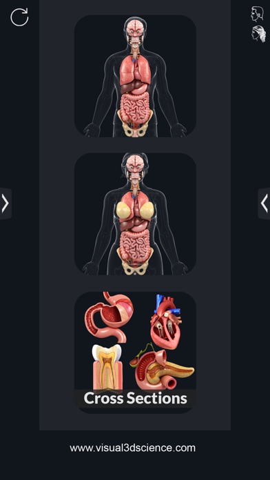 Organs Anatomyのおすすめ画像6