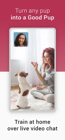 Game screenshot GoodPup: Dog Training at Home mod apk