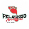 Pelaskdo icon