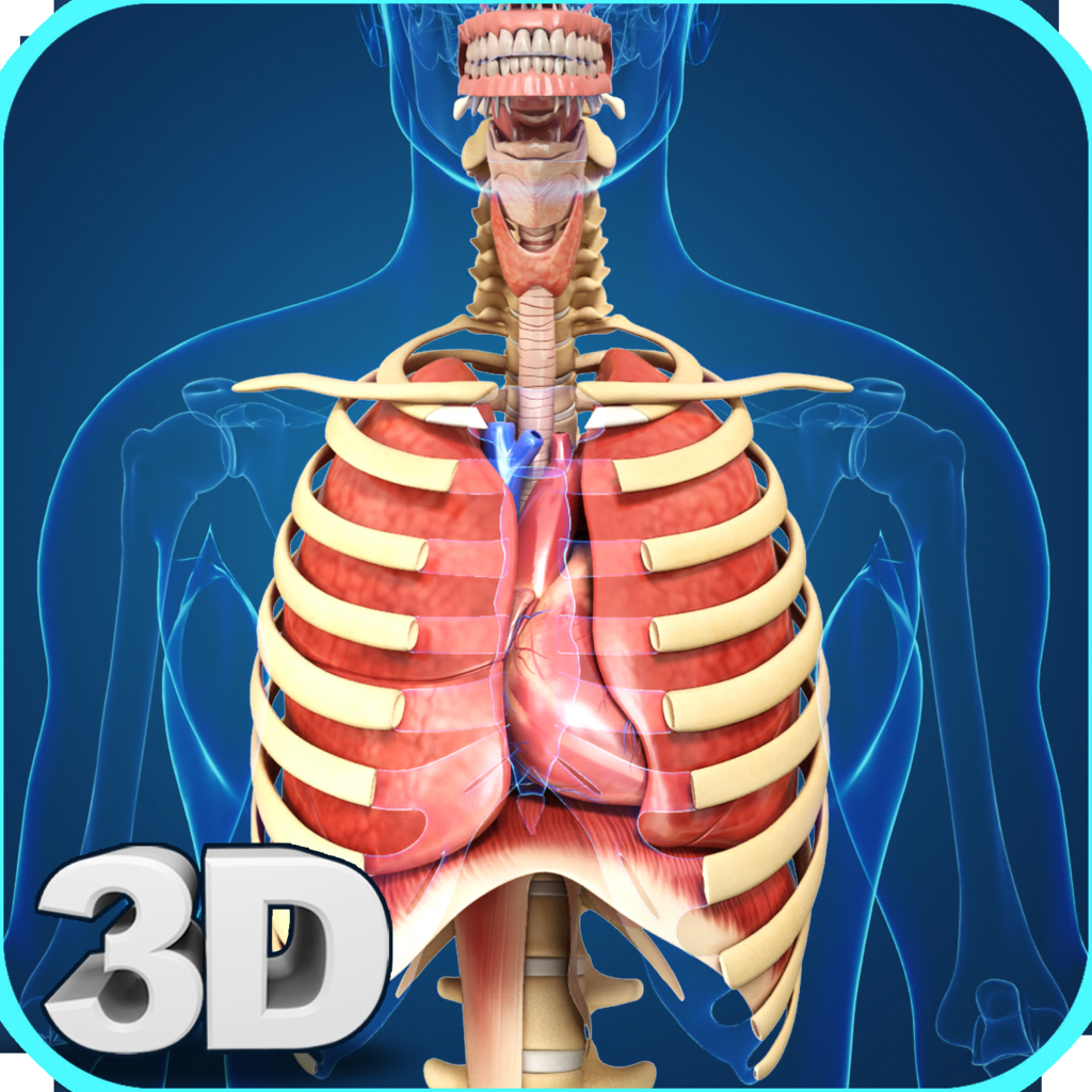 Get My Respiratory System Anatomy for iOS, iPhone, iPad Aso Report