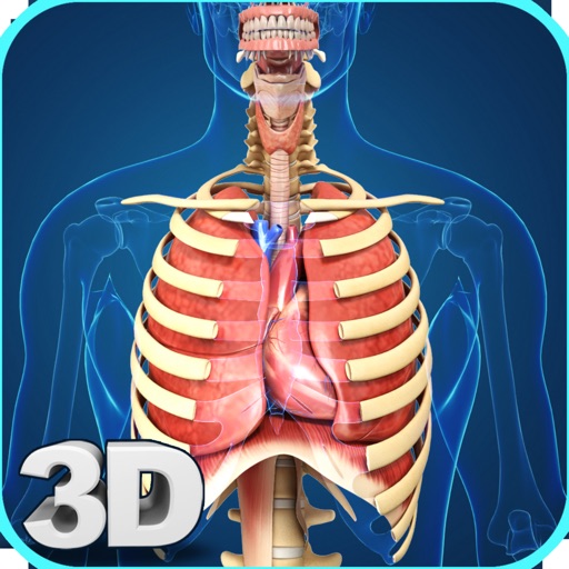 My Respiratory System Anatomy icon