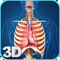 My Respiratory System Anatomy app for studying  Respiratory System Anatomy which allows you to rotate 360° , Zoom and move camera around a highly realistic 3D model