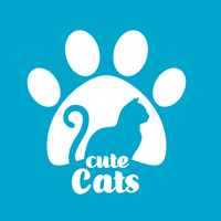 كيوت كاتس  Cute cats